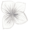 1.png 1.png